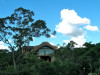 Paperbark - Pavilion 06